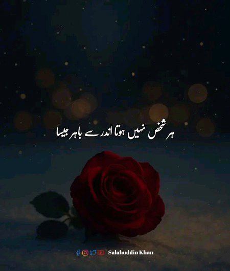 Bilkul 🙃🙂🙃❤️❤️