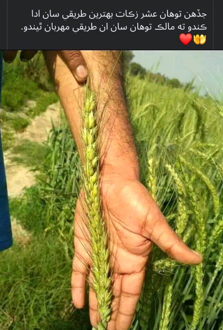 Allah pak har insaan ko oske amlo ke hisab se deta hai