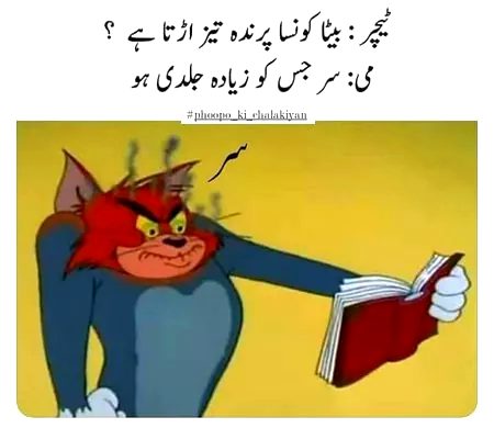 Memes & Satire image