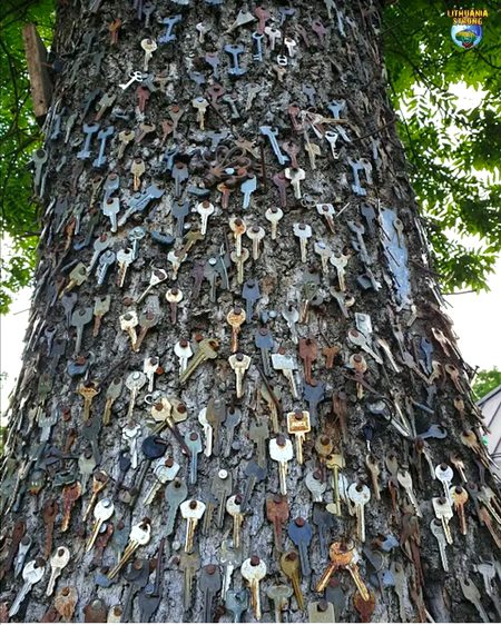 😮😮😮🍁🍁😍😍