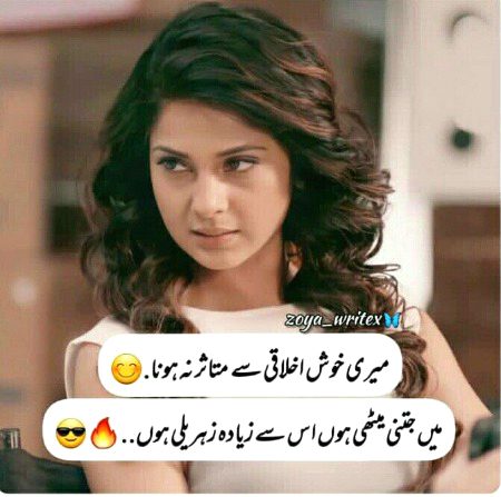 Attitude Quotes image