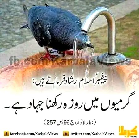 Islamic Quotes image