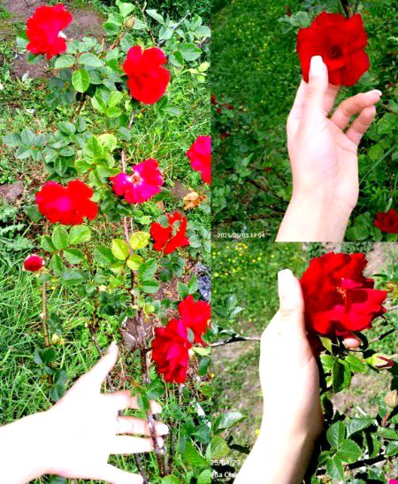 > ⸼𓂃⤹🌙🖤
_سَمجھنـے والـَے خ٘ـامـوشـی بھـِی سمجَـھ لیتـِے ہیـِں‧₊˚♡𓂃🌔❤️🩹 ִֶָ_
_نَـہ سمجَھنـے والـًے جـَذبـَات ڪَا بھِـی مـّذاق بناتَـے ہیـِں‧₊˚♡𓂃 ִֶָ🥀🥲_
`🌚❤️🔥`