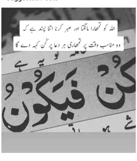 ❤💚💜❤💚💜❤💚💜