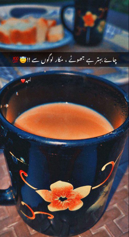 Attitude Quotes image