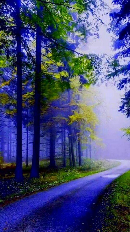 Beautiful Nature image