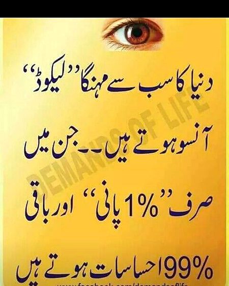 Sch h Saanaam❣️❣️