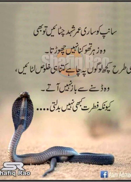 Aj se bad logo ka chapter close