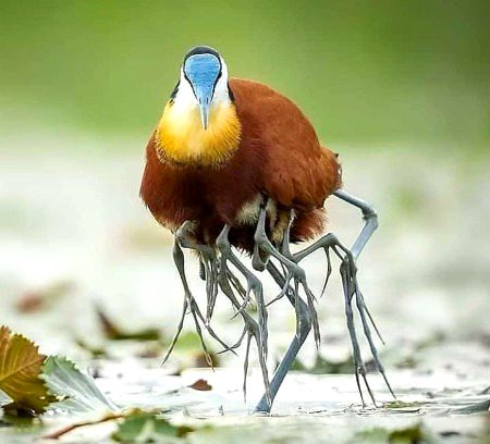 Beautiful Nature image