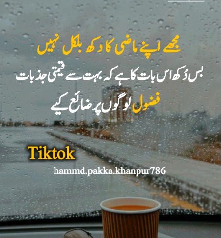 Sad Poetry image