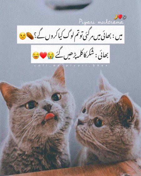 Jokes image