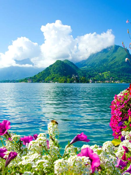 Beautiful Nature image