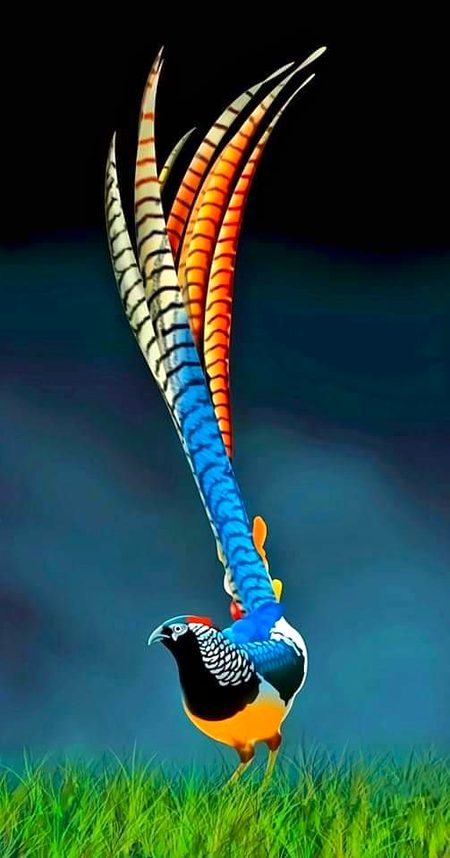 Beautiful Nature image