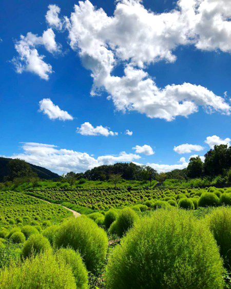 Beautiful Nature image