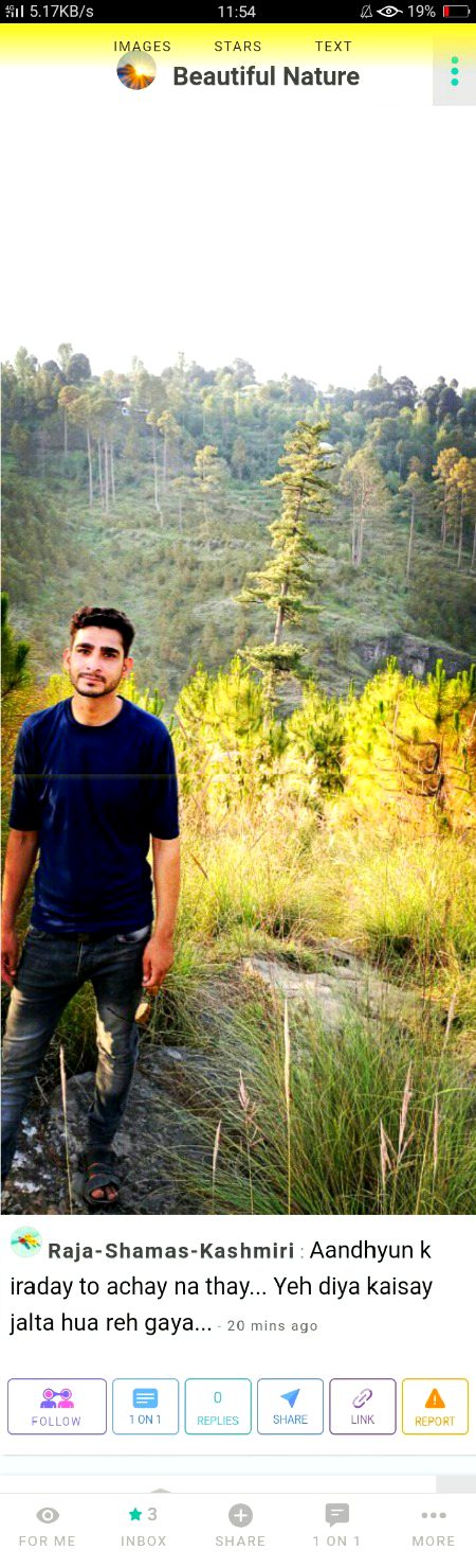 Damadam Roasting image