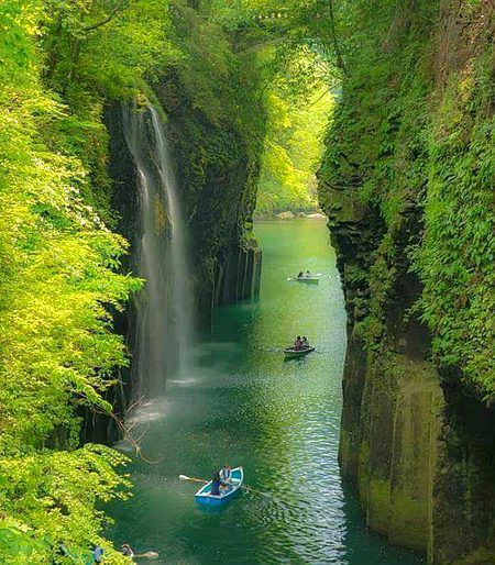 Beautiful Nature image