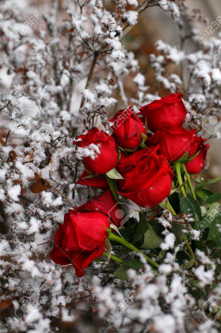 Beautiful Nature image