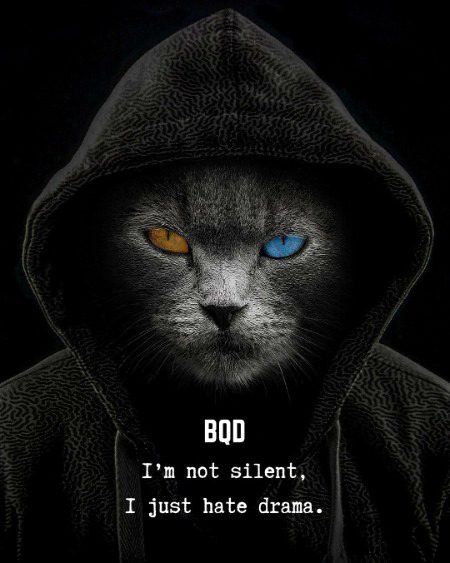 Attitude Quotes image