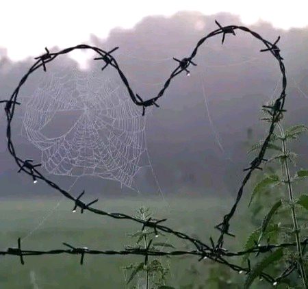 Beautiful Nature image