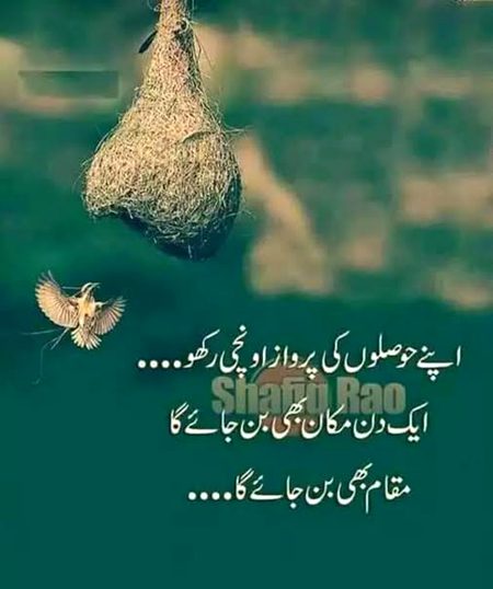 Motivational Quotes image