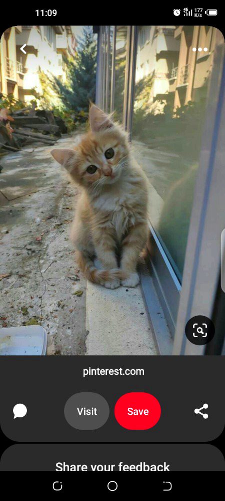 Beautiful Nature image