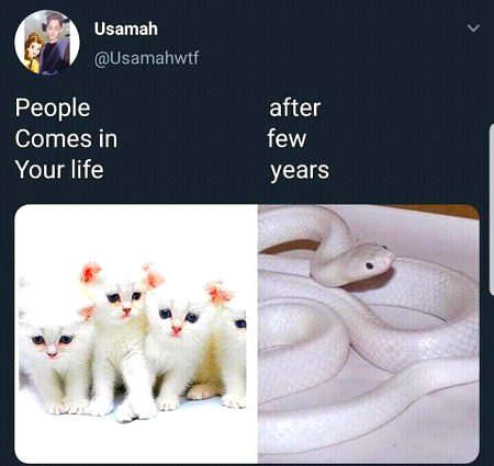 Memes & Satire image