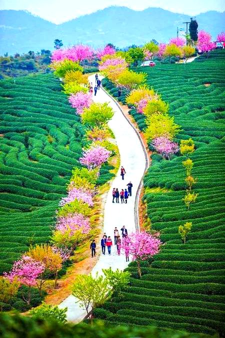 Beautiful Nature image