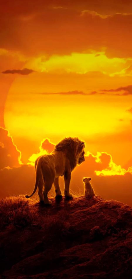 Beautiful Nature image