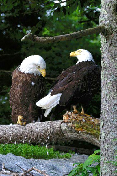 Beautiful Nature image