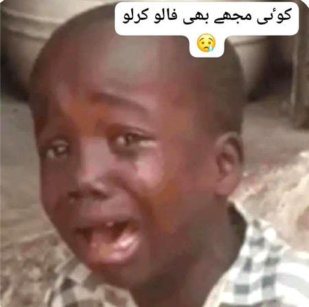 Memes & Satire image