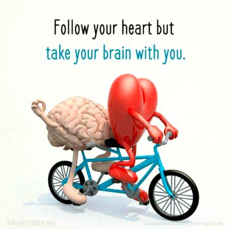 Life Advice image