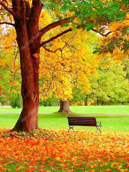 Beautiful Nature image