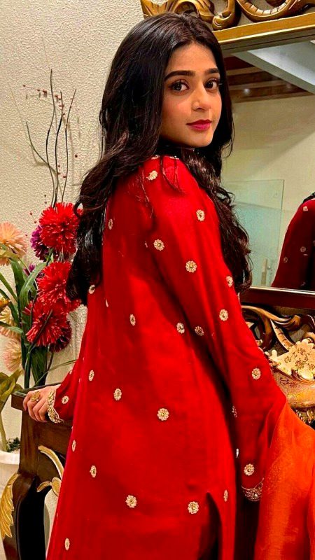 Pakistani Celebs image