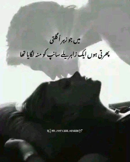 Attitude Poetry image