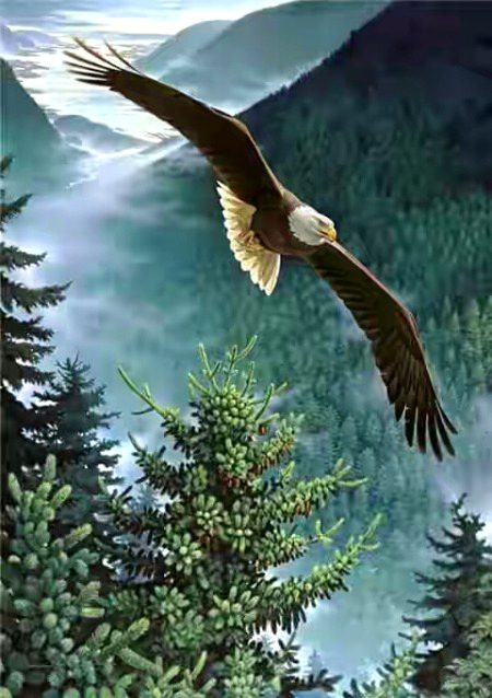 Beautiful Nature image