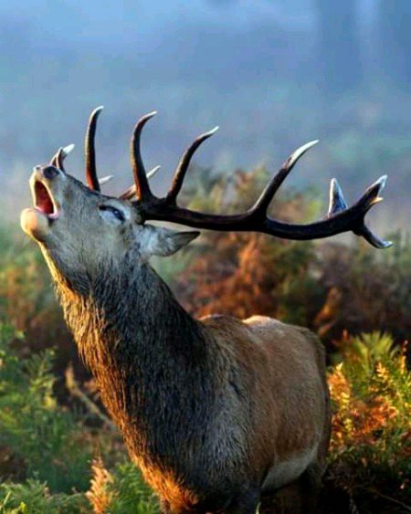 Beautiful Nature image