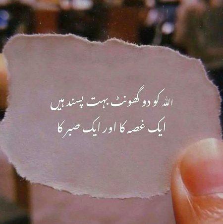 Islamic Quotes image