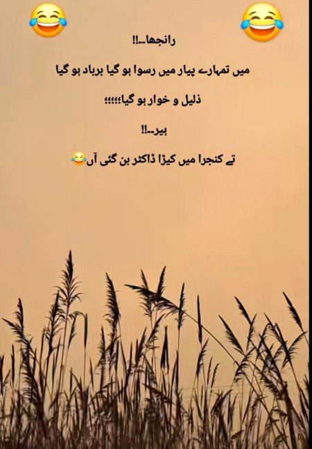 Memes & Satire image