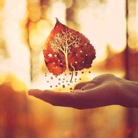 اپنی قیمت اتنی ہی رکھو
جتنی ادا ہو سکے ، زیادہ انمول ہو گئے
تو اکیلے رہ جاؤ گے ۔ 🖤🥀