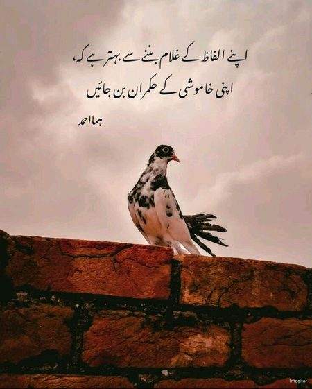 Life Advice image