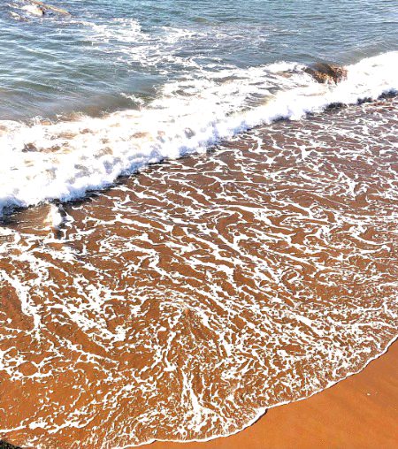 Beautiful Nature image