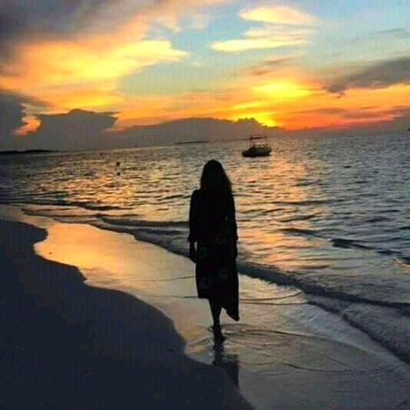 Beautiful Nature image