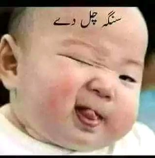 alxx dd pkhi