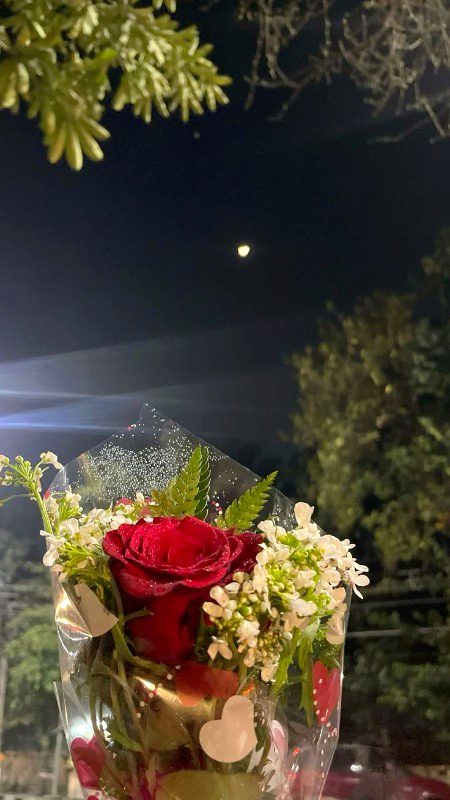 Beautiful Nature image