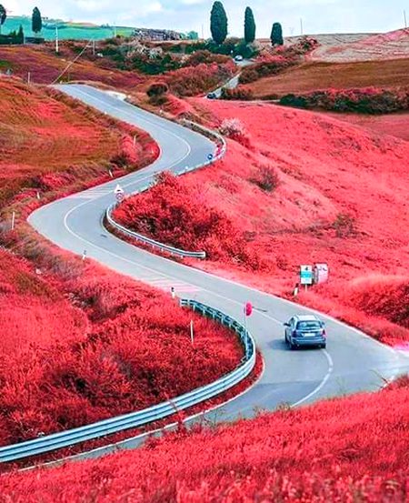 Beautiful Nature image