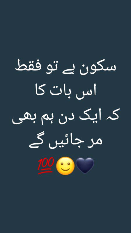 ایک دن ہم بھی مر جائیں گے 🙂🙂