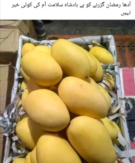 Beautiful Nature image