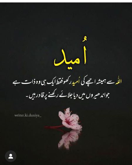 Islamic Quotes image