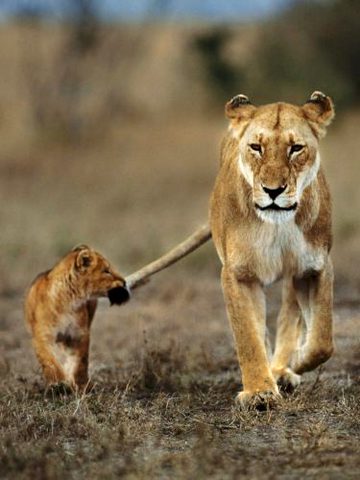 Beautiful Nature image