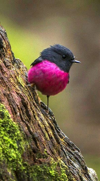 Beautiful Nature image